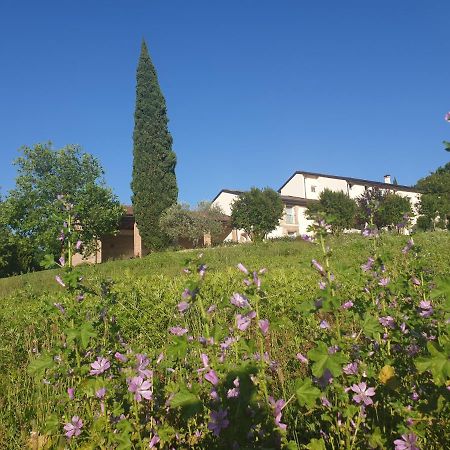 Agriturismo Relais Maddalene101 Villa Vicenza Exterior foto